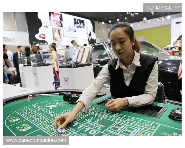 澳门赌场的各种玩法：从传统到创新的多样娱乐方式详解