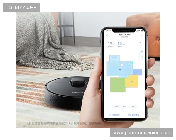 PA电子app常见问题与解决方案汇总帮助用户排除使用中的常见困扰与疑问