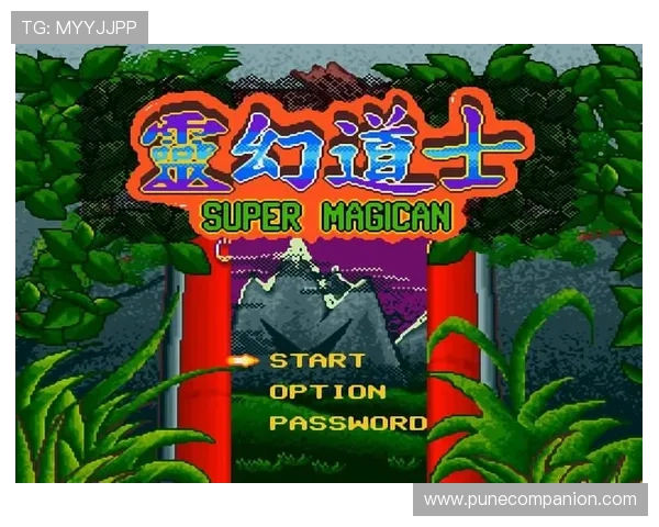 丰富的FC游戏ROM无敌版合集资源免费下载，满足玩家对无限金币和无限生命的所有需求