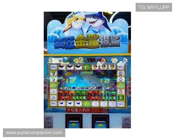 PP电子老虎机最新玩法攻略助你轻松赢取高额奖金体验多样化游戏乐趣
